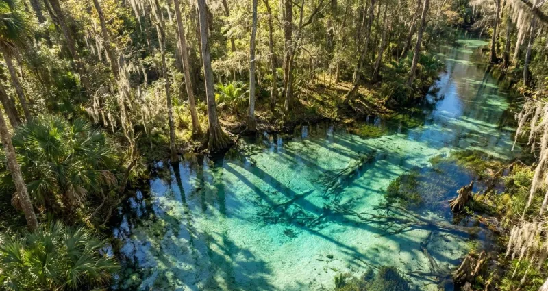 Scenic Florida landscape representing Alachua County