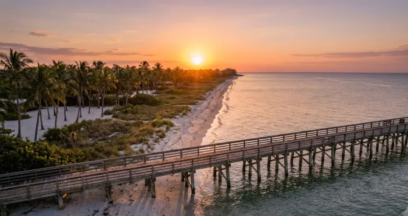 Scenic Florida landscape representing Collier County