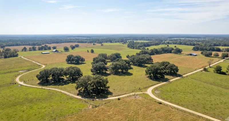 Scenic Florida landscape representing Gadsden County