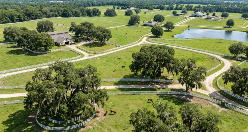 Scenic Florida landscape representing Marion County
