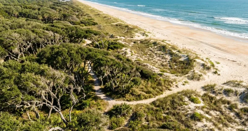 Scenic Florida landscape representing Nassau County