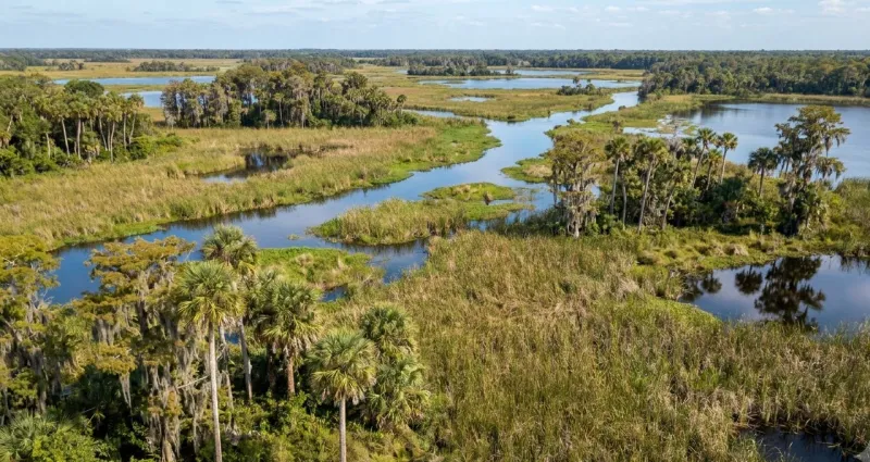 Scenic Florida landscape representing Osceola County