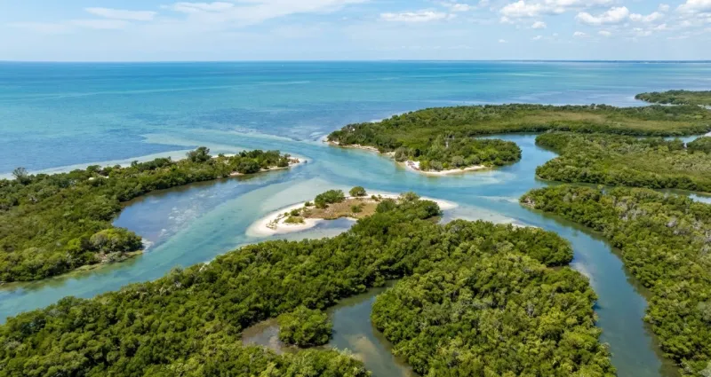 Scenic Florida landscape representing Pasco County