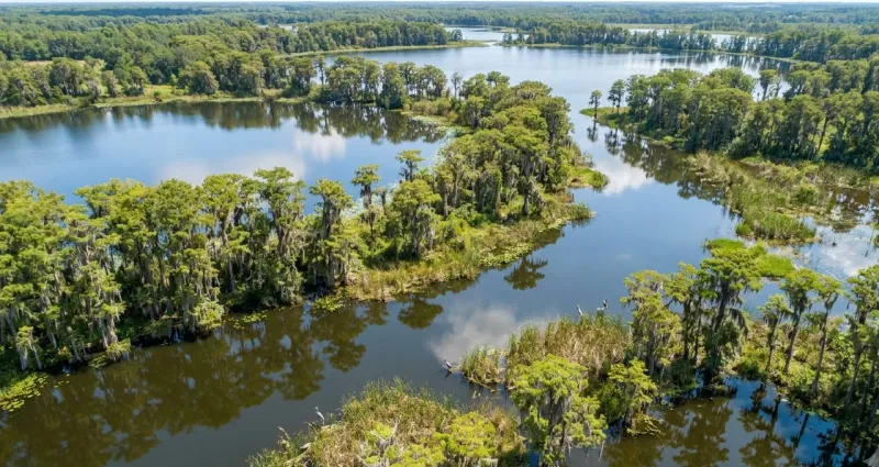 Scenic Florida landscape representing Seminole County
