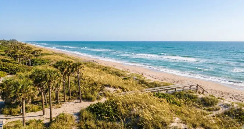 Scenic Florida landscape representing St. Lucie County